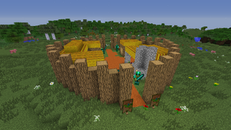 NPC Village 1