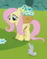 Thumbnail for version as of 05:07, September 30, 2011