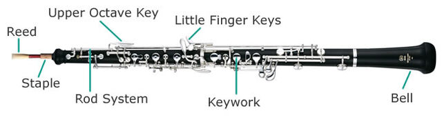 File:Oboe-diagram.jpg