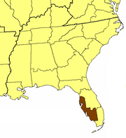 ECUSA Southwest Florida