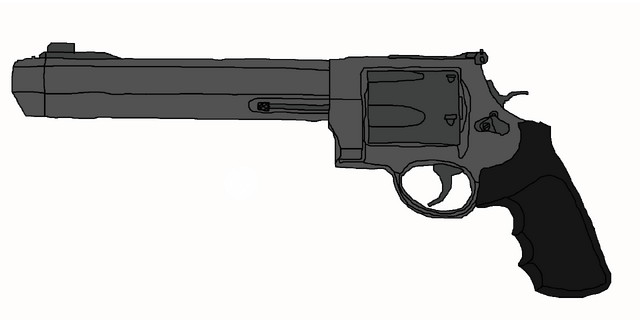 File:Ivan's SW 500 Magnum.png