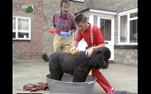 File:In the doghouse.jpg