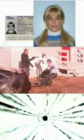 File:Chuck Flashes.png