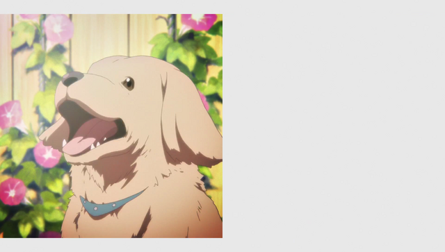 File:Vlcsnap-2017-03-03-12h33m06s663.png