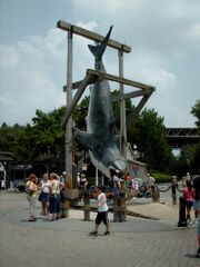UniversalStudiosJawsShark.jpg