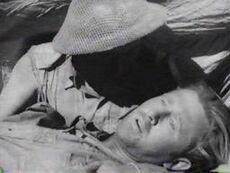 Lloydbridges