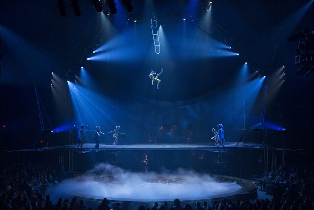 Archivo:Acro-Net2-KURIOS.jpg