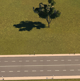Small avenue
