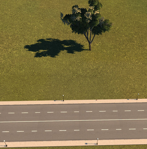 File:Small avenue.jpg