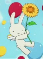 Lapin kobato