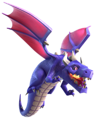 Dragon info
