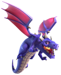 Dragon info
