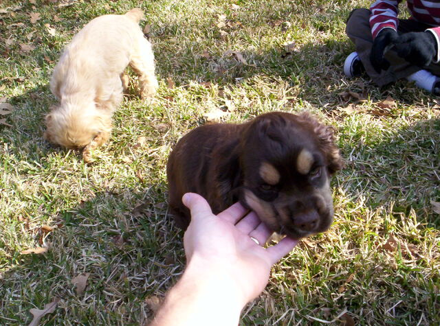 File:Emma and Tucker 004.jpg