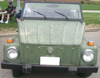 VW Thing
