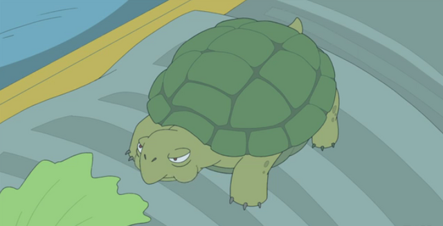 File:Turtrussell.png