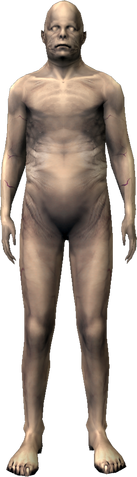 File:Homo2.png