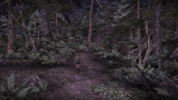 Chaos forest