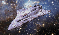 Concourse Wikia