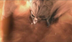 Plo's death