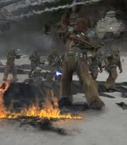 Wookiees