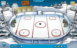 Plik:Icerink.jpg