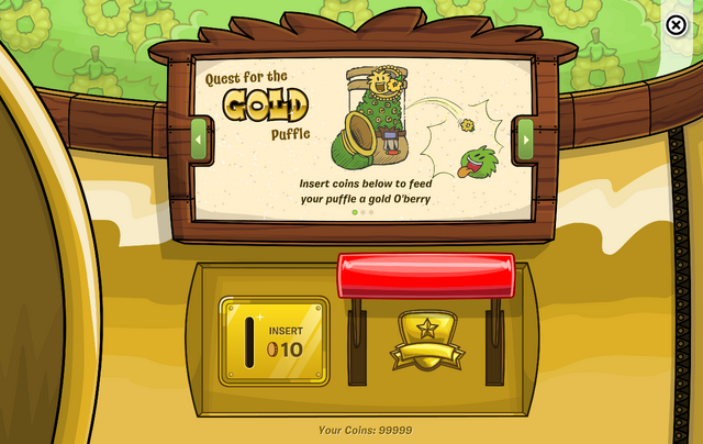 File:Goldenoberry1.png