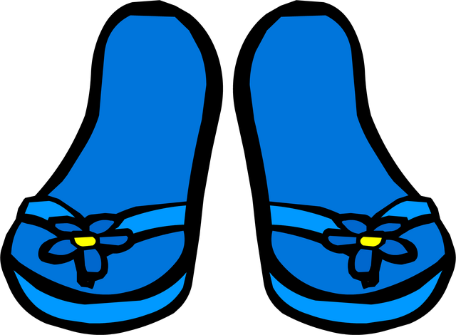 File:BlueFlowerFlipflops.png