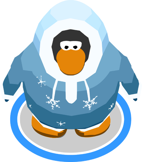 File:SnowyNightParkaIG.png