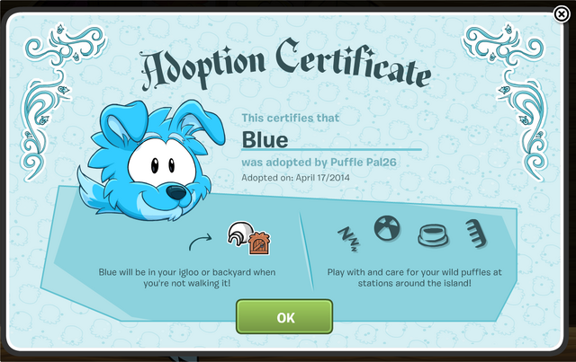 File:Dog Poofle Cert.png