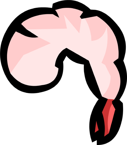 File:ShrimpPinGary'sRoom.png