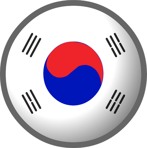 Image - South Korea flag clothing icon ID 513.png | Club Penguin Wiki ...