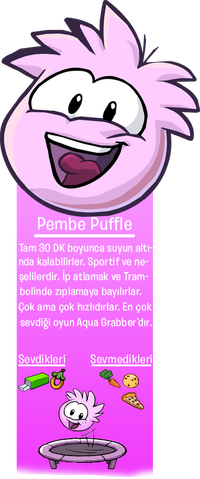 File:Pembe Puffle.png