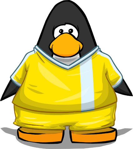 File:Clothing 24126 player card.png