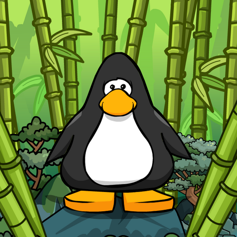 File:Clothing 9198 player card.png