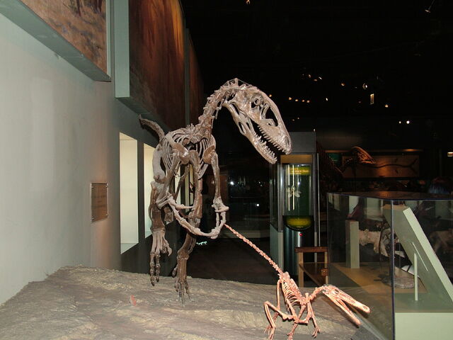 File:DSCF1722.jpg
