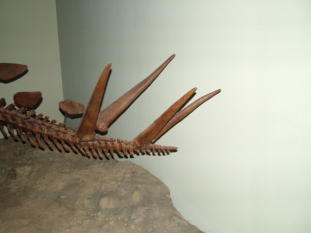 File:DSCF1717.jpg