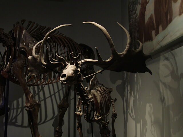 File:DSCF1759.jpg