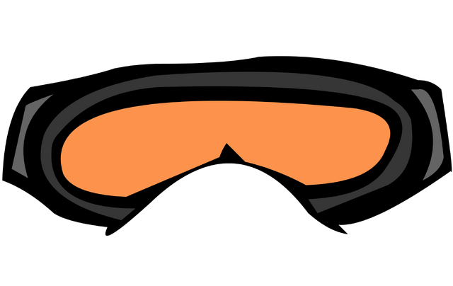 File:Skigogglesinaplayercard 0.png