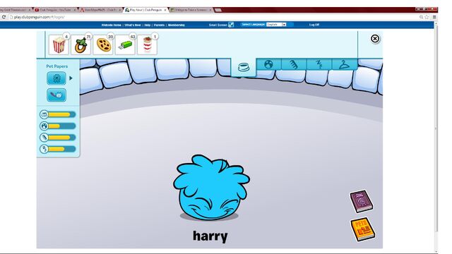File:Harry.jpg