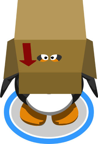 File:Box Hat In-game.png