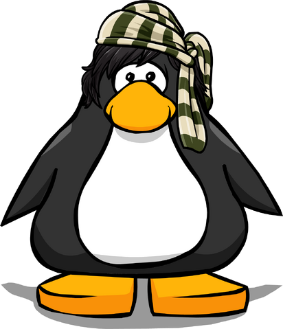 File:ThePirateerPlayercard.png