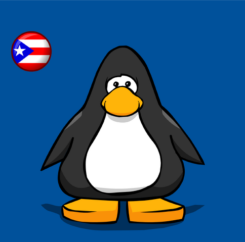 File:Puerto Flag on a Player Card.png