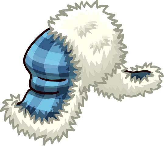 File:Blue Fuzzy Hat 1.png