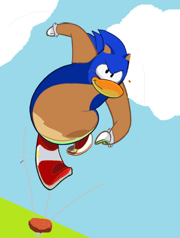File:Sonic cosutme for cp sonic takeover.png