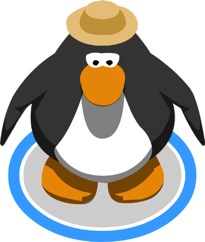 File:SafariHelmetinGame.png