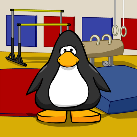 File:GymbackgroundonPC.png