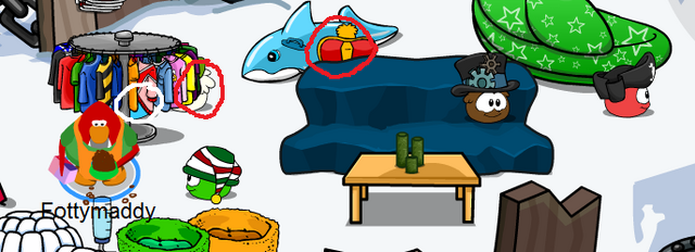File:Mem puffle4.png