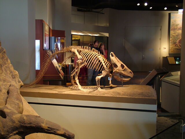 File:DSCF1733.jpg