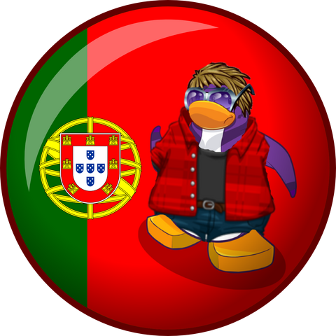 File:Custom Flags to Gonzas14.png