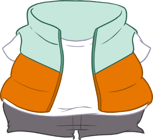 File:Orange Puffer Vest icon.png
